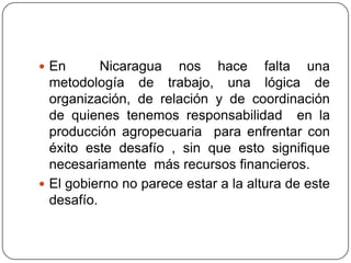 En  Nicaragua nos hace falta una metodología de trabajo, una lógica de organización, de relación y de coordinación de quienes tenemos responsabilidad  en la producción agropecuaria  para enfrentar con éxito este desafío , sin que esto signifique necesariamente  más recursos financieros.El gobierno no parece estar a la altura de este desafío.