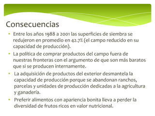 Consecuencias
• Entre los años 1988 a 2001 las superficies de siembra se
  redujeron en promedio en 42.7% (el campo reducido en su
  capacidad de producción).
• La política de comprar productos del campo fuera de
  nuestras fronteras con el argumento de que son más baratos
  que si se producen internamente.
• La adquisición de productos del exterior desmantela la
   capacidad de producción porque se abandonan ranchos,
   parcelas y unidades de producción dedicadas a la agricultura
   y ganadería.
• Preferir alimentos con apariencia bonita lleva a perder la
   diversidad de frutos ricos en valor nutricional.
 