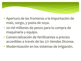 • Apertura de las fronteras a la importación de
  maíz, sorgo, y pasta de soya.
• 20 mil millones de pesos para la compra de
  maquinaria y equipo.
• Comercialización de fertilizantes a precios
  accesibles a través de las 271 tiendas Diconsa.
• Modernización en los sistemas de irrigación.
 