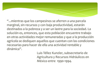 “...mientras que los campesinos se aferren a una parcela
marginal, sin recursos y con baja productividad, estarán
destinados a la pobreza y a ser un lastre para la sociedad. La
solución es, entonces, que esta población encuentre trabajo
en otras actividades mejor remuneradas y que a la producción
agrícola se dediquen aquellos que cuentan con las condiciones
necesarias para hacer de ella una actividad rentable y
dinámica”.
                      Luis Téllez Kunzler, subsecretario de
                      Agricultura y Recursos Hidráulicos en
                      México entre 1990-1994.
 