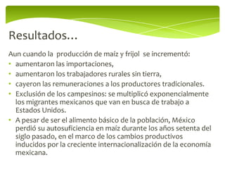 Resultados…
Aun cuando la producción de maíz y frijol se incrementó:
• aumentaron las importaciones,
• aumentaron los trabajadores rurales sin tierra,
• cayeron las remuneraciones a los productores tradicionales.
• Exclusión de los campesinos: se multiplicó exponencialmente
  los migrantes mexicanos que van en busca de trabajo a
  Estados Unidos.
• A pesar de ser el alimento básico de la población, México
  perdió su autosuficiencia en maíz durante los años setenta del
  siglo pasado, en el marco de los cambios productivos
  inducidos por la creciente internacionalización de la economía
  mexicana.
 
