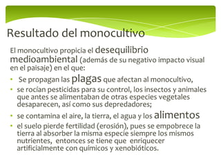 Resultado del monocultivo
El monocultivo propicia el desequilibrio
medioambiental (además de su negativo impacto visual
en el paisaje) en el que:
• Se propagan las plagas que afectan al monocultivo,
• se rocían pesticidas para su control, los insectos y animales
  que antes se alimentaban de otras especies vegetales
  desaparecen, así como sus depredadores;
• se contamina el aire, la tierra, el agua y los alimentos
• el suelo pierde fertilidad (erosión), pues se empobrece la
  tierra al absorber la misma especie siempre los mismos
  nutrientes, entonces se tiene que enriquecer
  artificialmente con químicos y xenobióticos.
 