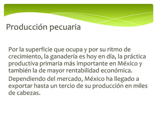 Producción pecuaria

Por la superficie que ocupa y por su ritmo de
crecimiento, la ganadería es hoy en día, la práctica
productiva primaria más importante en México y
también la de mayor rentabilidad económica.
Dependiendo del mercado, México ha llegado a
exportar hasta un tercio de su producción en miles
de cabezas.
 