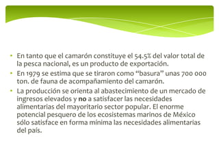 • En tanto que el camarón constituye el 54.5% del valor total de
  la pesca nacional, es un producto de exportación.
• En 1979 se estima que se tiraron como “basura” unas 700 000
  ton. de fauna de acompañamiento del camarón.
• La producción se orienta al abastecimiento de un mercado de
  ingresos elevados y no a satisfacer las necesidades
  alimentarias del mayoritario sector popular. El enorme
  potencial pesquero de los ecosistemas marinos de México
  sólo satisface en forma mínima las necesidades alimentarias
  del país.
 