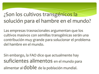 ¿Son los cultivos transgénicos la
solución para el hambre en el mundo?
Las empresas trasnacionales argumentan que los
cultivos masivos con semillas transgénicas serán una
contribución muy grande para solucionar el problema
del hambre en el mundo.

Sin embargo, la FAO dice que actualmente hay
suficientes alimentos en el mundo para
alimentar al doble de la población mundial.
 