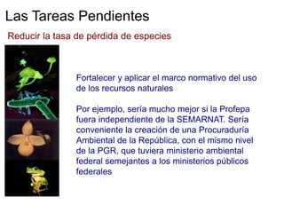 El desmantelamiento de las instituciones ambientales- Enrique ...
