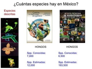 El desmantelamiento de las instituciones ambientales- Enrique ...