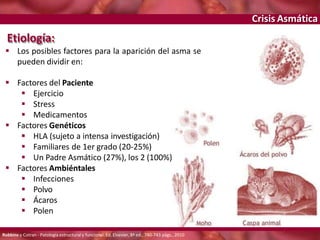 Crisis Asmática
Etiología:
 Los posibles factores para la aparición del asma se
pueden dividir en:
 Factores del Paciente
 Ejercicio
 Stress
 Medicamentos
 Factores Genéticos
 HLA (sujeto a intensa investigación)
 Familiares de 1er grado (20-25%)
 Un Padre Asmático (27%), los 2 (100%)
 Factores Ambiéntales
 Infecciones
 Polvo
 Ácaros
 Polen
Robbins y Cotran - Patología estructural y funcional. Ed. Elsevier, 8ª ed., 740-743 págs., 2010
 