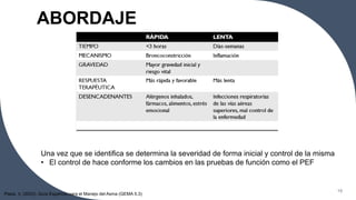 ABORDAJE
19
Plaza, V. (2023). Guía Española para el Manejo del Asma (GEMA 5.3)
Una vez que se identifica se determina la severidad de forma inicial y control de la misma
• El control de hace conforme los cambios en las pruebas de función como el PEF
 