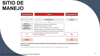 SITIO DE
MANEJO
22
Plaza, V. (2023). Guía Española para el Manejo del Asma (GEMA 5.3)
 