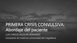 PRIMERA CRISIS CONVULSIVA:
Abordaje del paciente
LUIS CARLOS AGUILAR HENANDEZ
Estudiante de medicina universidad del magdalena
 