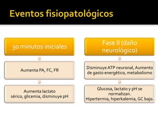 Fase II (daño
30 minutos iniciales
                                         neurológico)

                                 Disminuye ATP neuronal, Aumento
     Aumenta PA, FC, FR
                                 de gasto energético, metabolismo


                                       Glucosa, lactato y pH se
       Aumenta lactato
                                            normalizan.
sérico, glicemia, disminuye pH
                                 Hipertermia, hiperkalemia, GC bajo.
 