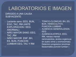 DIRIGIDO A UNA CAUSA
SUBYACENTE:
 Lactante sano: EEG, BUN,
EGO, TAC, RM (ANTE
EXPLORACION / EEG
ANORMAL)
 NIÑO MAYOR SANO: EEG,
TAC ,RM
 NIÑO MAYOR ENF: BH,
ES, BUN, PUNCION
LUMBAR EEG, TAC Y RM

 TONICO-CLONICAS: BH, ES,
BUN, HEMOCULTIVO,
PUNCION LUMBAR.
 AUSENCIA GENERALIZADA:
EEG
 AUSENCIA ATIPICA: EEG,
RM, retraso mental
(aminoácidos, ácidos orgánicos
en suero orina y cromosomas).
Deterioro progresivo (enzimas
lisosomales punción lumbar )
 