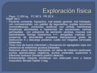  Peso: 11.000 kg FC 80´X FR 25´X
TEMP 39°C
 Paciente consiente, hipoactivo, mal estado general, mal hidratado,
con normoencefalo, con palidez de tegumentos, pupilas isocoricas
normoreflexicas, conductos auditivos con ambas membranas
timpánicas abombadas e hiperemias sin secreciones, narinas
permeables con presencia de secreción verdosa, mucosa oral
deshidratada, faringe hiperemica +++, amígdalas cripticas con
presencia de abundantes exudados blanquecinos grado de
obstrucción II y descarga posterior, cuello con megalias cervicales
bilaterales.
 Torax rscs de buena intensidad y frecuencia sin agregados csps con
presencia de estertores gruesos bibasales.
 Abdomen plano blando depresible, sin datos de irritación peritoneal,
puntos apendiculares negativos, puntos ureterales superiores e
inferiores dudosos Giordano positivo derecho.
 Extremidades integras simétricas con adecuado tono y fuerza
musculara, llenado capilar 3 seg.
 