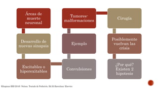 Áreas de
muerte
neuronal
Desarrollo de
nuevas sinapsis
Excitables o
hiperexitables
Convulsiones
Ejemplo
Tumores-
malformaciones
Cirugía
Posiblemente
vuelvan las
crisis
¿Por qué?
Existen 2
hipotesis
Kliegman RM.(2016). Nelson. Tratado de Pediatría. Ed.20.Barcelona: Elsevier.
 