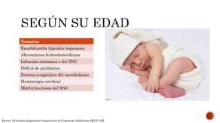 Neonatos
Encefalopatía hipoxica-isquemica
Alteraciones hidroelectrolíticas
Infección sistémica o del SNC
Déficit de piridoxina
Errores congénitos del metabolismo
Hemorragia cerebral
Malformaciones del SNC
Fuente: Protocolos diagnóstico-terapéuticos de Urgencias Pediátricas SEUP-AEP
 