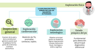 Exploración física
Inspeccion
general
Examen de la piel y
de la constitucion
general, puesto que
la epilepsia forma
parte de sindromes
cutaneos
dismorficos
Exploración
cardiovascular
Medición de TA,
anomalías
cardiacas, soplos.
Exploracion
neurologica
Objetivo principal
poner en evidencia:
Signos hipertensión
craneal, disfunción
focal, meníngea o
esfera cognitiva
Estado
psíquico del px
Fundamental
para detección
del principal
diagnostico
diferencial
LA EXPLORACION FISICA
DEBERA INCLUIR LAS
SIGUIENTES
ACTIVIDADES
 