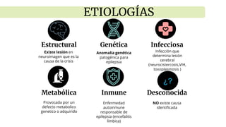 ETIOLOGÍAS
Estructural
Existe lesión en
neuroimagen que es la
causa de la crisis
Genética
Anomalía genética
patogénica para
epilepsia
Infecciosa
Infección que
determina lesión
cerebral
(neurocistercosis,VIH,
toxoplasmosis )
Metabólica
Provocada por un
defecto metabolico
genetico o adquirido
Inmune
Enfermedad
autoinmune
responsable de
epilepsia (encefalitis
límbica)
Desconocida
NO existe causa
identificada
¿?
 