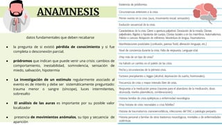 ANAMNESIS
datos fundamentales que deben recabarse
● la pregunta de si existió pérdida de conocimiento y si fue
completa o desconexión parcial.
● pródromos que indican que puede venir una crisis: cambios de
comportamiento, inestabilidad, somnolencia, sensación de
miedo, salivación, hipotermia
● La investigación de un estímulo regularmente asociado al
evento es de interés y debe ser sistemáticamente preguntado:
trauma menor o sangre (síncope), luces intermitentes,
sobresalto
● El análisis de las auras es importante por su posible valor
localizador
● presencia de movimientos anómalos, su tipo y secuencia de
aparición
 