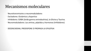 Mecanismos moleculares
• Neurotransmisores o neuromoduladores
• Excitadores: Glutámico y Aspartico
• Inhibidores: GABA (ácido gamna aminobutírico), la Glicina y Taurina.
• Neuromoduladores: Las aminas, péptidos y hormonas (Inhibidores)
• DESENCADENA, PREDISPONE O PROPAGA LA EPILEPSIA
 