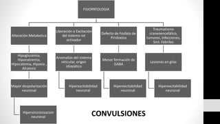 FISIOPATOLOGIA
Alteración Metabolica
Hipoglucemia,
Hiponatremia,
Hipocalemia, Hipoxia ,
Alcalosis
Mayor despolarización
neuronal
Hipersincronizacion
neuronal
Liberación o Excitación
del sistema ret
activador
Anomalías del sistema
reticular, origen
idiopático
Hiperexcitabilidad
neuronal
Defecto de Fosfato de
Piridoxina
Menor formación de
GABA
Hiperexcitabilidad
neuronal
Traumatismo
craneoencefálico,
tumores, infecciones,
Sint. Febriles
Lesiones en glías
Hiperexcitabilidad
neuronal
CONVULSIONES
 
