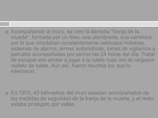  Acompañando al muro, se creó la llamada "franja de la
muerte", formada por un foso, una alambrada, una carretera
por la que circulaban constantemente vehículos militares,
sistemas de alarma, armas automáticas, torres de vigilancia y
patrullas acompañadas por perros las 24 horas del día. Tratar
de escapar era similar a jugar a la ruleta rusa con el cargador
repleto de balas. Aún así, fueron muchos los que lo
intentaron.
 En 1975, 43 kilómetros del muro estaban acompañados de
las medidas de seguridad de la franja de la muerte, y el resto
estaba protegido por vallas.
 
