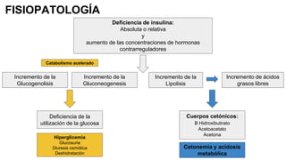 FISIOPATOLOGÍA
Deficiencia de insulina:
Absoluta o relativa
y
aumento de las concentraciones de hormonas
contrarreguladores
Incremento de la
Gluconeogenesis
Incremento de la
Glucogenolisis
Deficiencia de la
utilización de la glucosa
Hiperglicemia
Glucosuria
Diuresis osmótica
Deshidratación
Catabolismo acelerado
Incremento de la
Lipolisis
Incremento de ácidos
grasos libres
Cuerpos cetónicos:
B Hidroxibutirato
Acetoacetato
Acetona
Cetonemia y acidosis
metabólica
 