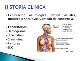  Exploracion neurologica: deficit visuales, 
motores o sensitivos y estado de conciencia. 
 Laboratorios: 
-Hemograma 
-Uroanalisis 
-Creatinina 
-Rx torax 
-EKG 
 