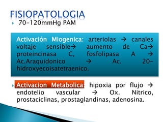  70-120mmHg PAM 
 Activación Miogenica: arteriolas  canales 
voltaje sensible aumento de Ca 
proteincinasa C, fosfolipasa A  
Ac.Araquidonico  Ac. 20- 
hidroxyecoisatetraenico. 
 Activacion Metabolica: hipoxia por flujo  
endotelio vascular  Ox. Nitrico, 
prostaciclinas, prostaglandinas, adenosina. 
 