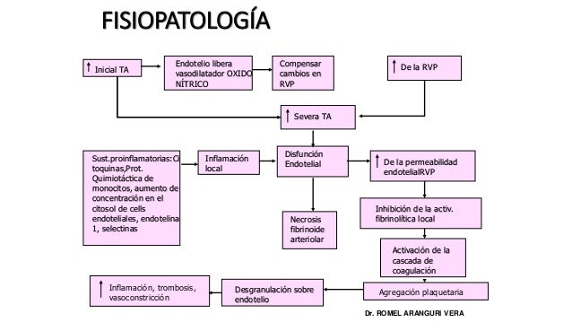 Recomendaciones Para El Manejo De Las Crisis Hipertensivas Documento