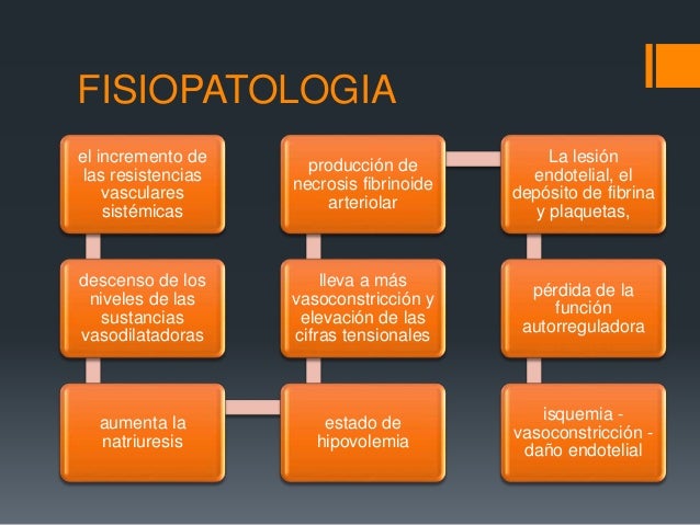 Universidad De Cuenca