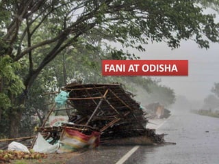 FANI AT ODISHA
 