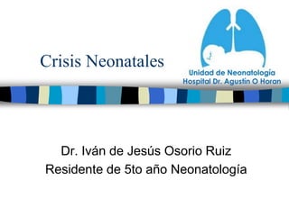 Crisis Neonatales
Dr. Iván de Jesús Osorio Ruiz
Residente de 5to año Neonatología
 