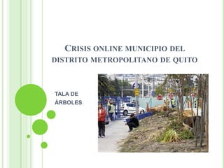 CRISIS ONLINE MUNICIPIO DEL
DISTRITO METROPOLITANO DE QUITO



TALA DE
ÁRBOLES
 