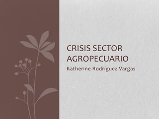 CRISIS SECTOR
AGROPECUARIO
Katherine Rodríguez Vargas
 