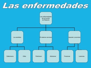 Las enfermedades
de la función
de Relación

Los sentidos

Daltonismo

El sistema nervioso

Otitis

Parkinson

Alzheimer

Aparato Locomotor

Fracturas

Lesiones

 