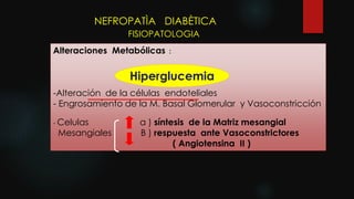 NEFROPATÌA DIABÈTICA
FISIOPATOLOGIA
Alteraciones Metabólicas :
-Alteración de la células endoteliales
- Engrosamiento de la M. Basal Glomerular y Vasoconstricción
- Celulas a ) síntesis de la Matriz mesangial
Mesangiales B ) respuesta ante Vasoconstrictores
( Angiotensina II )
HiperglucemiaHiperglucemia
 