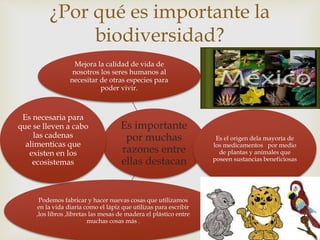 ¿Por qué es importante la 
biodiversidad? 
 
Mejora la calidad de vida de 
nosotros los seres humanos al 
necesitar de otras especies para 
poder vivir. 
Es importante 
por muchas 
razones entre 
ellas destacan 
Es el origen dela mayoria de 
los medicamentos por medio 
de plantas y animales que 
poseen sustancias beneficiosas 
Es necesaria para 
que se lleven a cabo 
Podemos fabricar y hacer nuevas cosas que utilizamos 
en la vida diaria como el lápiz que utilizas para escribir 
,los libros ,libretas las mesas de madera el plástico entre 
muchas cosas más . 
las cadenas 
alimenticas que 
existen en los 
ecosistemas 
 