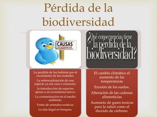 Pérdida de la 
biodiversidad 
 
La perdida de los habitats por el 
crecimiento de las ciudades. 
La sobreexplotación de una 
especie ya sea caza o consumo. 
la introducción de especies 
ajenas a un ecosistema nuevo. 
La contaminación en el medio 
ambiente. 
Venta de animales exóticos. 
La tala ilegal en bosques. 
El cambio climático el 
aumento de las 
temperaturas 
Erosión de los suelos. 
Alteración de las cadenas 
alimenticias 
Aumneto de gases toxicos 
para la salud como el 
dioxido de cárbono. 
 