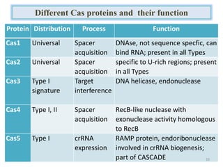 Different Cas proteins and their function
Protein Distribution Process Function
Cas1 Universal Spacer
acquisition
DNAse, not sequence specfic, can
bind RNA; present in all Types
Cas2 Universal Spacer
acquisition
specific to U-rich regions; present
in all Types
Cas3 Type I
signature
Target
interference
DNA helicase, endonuclease
Cas4 Type I, II Spacer
acquisition
RecB-like nuclease with
exonuclease activity homologous
to RecB
Cas5 Type I crRNA
expression
RAMP protein, endoribonuclease
involved in crRNA biogenesis;
part of CASCADE 10
 