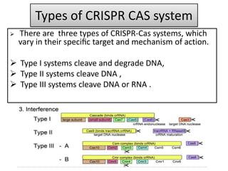 Types of CRISPR CAS system
 There are three types of CRISPR-Cas systems, which
vary in their speciﬁc target and mechanism of action.
 Type I systems cleave and degrade DNA,
 Type II systems cleave DNA ,
 Type III systems cleave DNA or RNA .
 