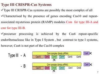 7
Type III CRISPR-Cas Systems
Type III CRISPR-Cas systems are possibly the most complex of all
Characterised by the presence of genes encoding Cas10 and repeat-
associated mysterious protein (RAMP) modules Csm for type III-A and
cmr for type III-B.
precursor processing is achieved by the Cas6 repeat-specific
endoribonuclease like in Type I System , but contrast to type I systems,
however, Cas6 is not part of the Cas10 complex
 