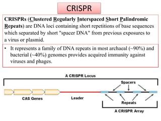 CRISPR
• It represents a family of DNA repeats in most archaeal (~90%) and
bacterial (~40%) genomes provides acquired immunity against
viruses and phages.
CRISPRs (Clustered Regularly Interspaced Short Palindromic
Repeats) are DNA loci containing short repetitions of base sequences
which separated by short "spacer DNA" from previous exposures to
a virus or plasmid.
 