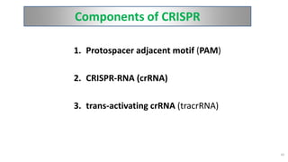 Components of CRISPR
1. Protospacer adjacent motif (PAM)
2. CRISPR-RNA (crRNA)
3. trans-activating crRNA (tracrRNA)
10
 