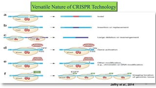 Versatile Nature of CRISPR Technology
20Jeffry et al., 2014
 
