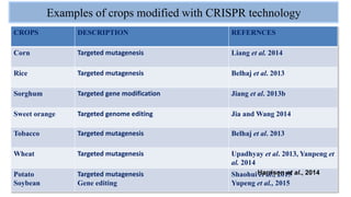 Examples of crops modified with CRISPR technology
24
CROPS DESCRIPTION REFERNCES
Corn Targeted mutagenesis Liang et al. 2014
Rice Targeted mutagenesis Belhaj et al. 2013
Sorghum Targeted gene modification Jiang et al. 2013b
Sweet orange Targeted genome editing Jia and Wang 2014
Tobacco Targeted mutagenesis Belhaj et al. 2013
Wheat Targeted mutagenesis Upadhyay et al. 2013, Yanpeng et
al. 2014
Potato
Soybean
Targeted mutagenesis
Gene editing
Shaohui et al., 2015
Yupeng et al., 2015
Harrison et al., 2014
 