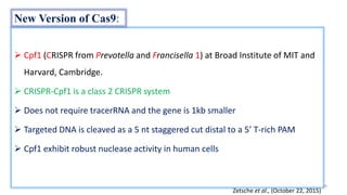  Cpf1 (CRISPR from Prevotella and Francisella 1) at Broad Institute of MIT and
Harvard, Cambridge.
 CRISPR-Cpf1 is a class 2 CRISPR system
 Does not require tracerRNA and the gene is 1kb smaller
 Targeted DNA is cleaved as a 5 nt staggered cut distal to a 5’ T-rich PAM
 Cpf1 exhibit robust nuclease activity in human cells
29
Zetsche et al., (October 22, 2015)
New Version of Cas9:
 