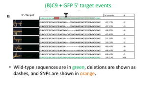 (B)C9 + GFP 5' target events
• Wild-type sequences are in green, deletions are shown as
dashes, and SNPs are shown in orange.
 