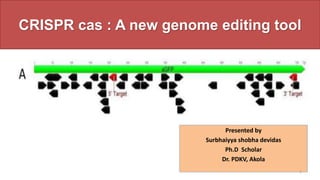CRISPR cas : A new genome editing tool
Presented by
Surbhaiyya shobha devidas
Ph.D Scholar
Dr. PDKV, Akola
1
 