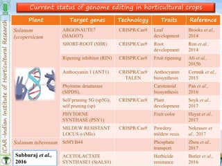 ICAR-IndianInstituteofHorticulturalResearch
10
Current status of genome editing in horticultural crops
Plant Target genes Technology Traits Reference
Solanum
lycopersicum
ARGONAUTE7
(SlAGO7)
CRISPR/Cas9 Leaf
development
Brooks et al.,
2014
SHORT-ROOT (SHR) CRISPR/Cas9 Root
development
Ron et al.,
2014
Ripening inhibitor (RIN) CRISPR/Cas9 Fruit ripening Ali et al.,
2015b
Anthocyanin 1 (ANT1) CRISPR/Cas9
TALEN
Anthocyanin
biosynthesis
Cermak et al.,
2015
Phytoene desaturase
(SlPDS),
Carotenoid
biosynthesis
Pan et al.,
2016
Self pruning 5G (sp5G),
self pruning (sp)
CRISPR/Cas9 Plant
development
Soyk et al.,
2017
PHYTOENE
SYNTHASE (PSY1)
Fruit color Hayut et al.,
2017
MILDEW RESISTANT
LOCUS o (Mlo)
CRISPR/Cas9 Powdery
mildew resis.
Nekrasov et
al., 2017
Solanum tuberosum StMYB44 Phosphate
transport
Zhou et al.,
2017
ACETOLACTATE
SYNTHASE1 (StALS1)
Herbicide
resistance
Butler et al.,
2016
Subburaj et al.,
2016
 